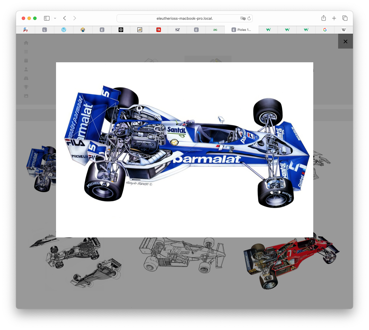Zoom Cutaway