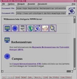 Lokaler Web Server